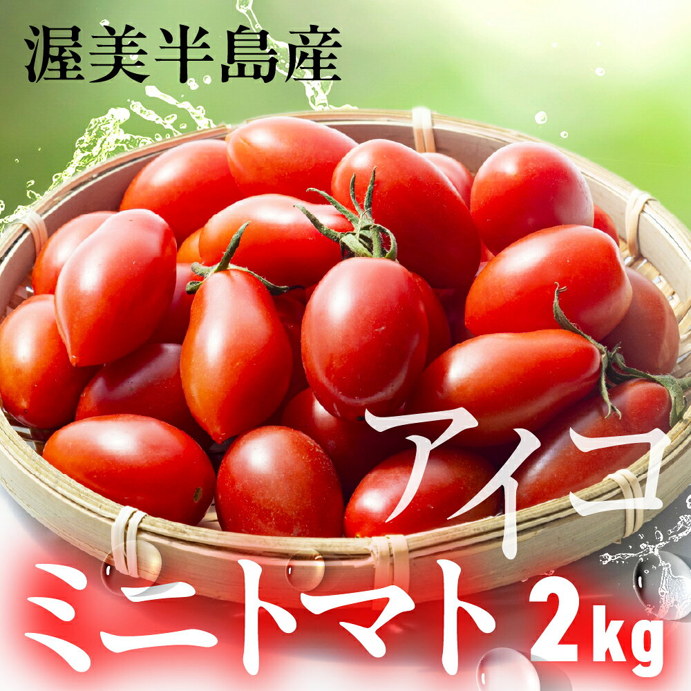 【ふるさと納税】渥美半島産 ミニトマト『アイコ』2kg　|トマト とまと ミニトマト プチトマト アイコ マリネ サラダ サンドイッチ 野菜 やさい 甘い おいしい 冬 春 JA 農協 JA愛知みなみ