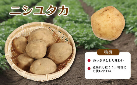 先行予約 じゃがいも 約5kg ニシユタカ デストロイヤー 【12月初旬~4月中旬頃発送予定】