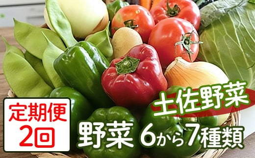 定期便2回「安芸ブランド」新鮮お野菜詰め合わせセット 6～7種類