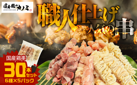 国産 鶏串 30本 セット（ 6種 × 5パック ） KN077-004-01 やきとり 焼鳥 焼き鳥 鶏もも 鶏むね 砂肝 肩肉 鶏皮 つくね 串 鳥串 おかず 串カツ BBQ 冷凍食品 カノミ ふるさと納税 鹿児島 鹿屋市 おすすめ ランキング プレゼント ギフト