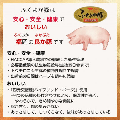 工場直送・鮮度抜群・ダイナミック【ふくよか豚】豚バラブロック 約5.3kg【配送不可地域：離島】