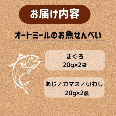 ふるさと納税 精華町 【ペット用】BariShBariSh　オートミールのお魚せんべい2種 80g (20g×各2袋) |  | 01