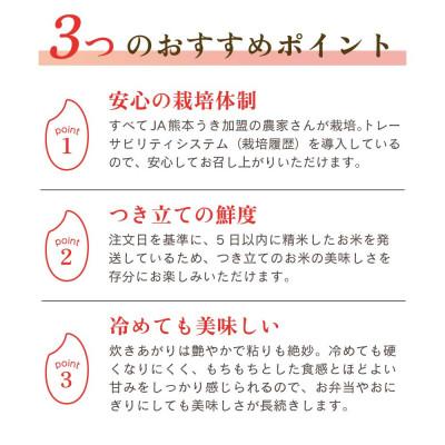 ふるさと納税 宇城市 【 JA 熊本うき】令和7年産　新米　森のくまさん5kg★ |  | 02