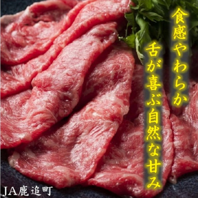 鹿追牛しゃぶしゃぶ用 450g (鹿追牛Eセット225g×2)  北海道十勝鹿追産【011A】【配送不可地域：離島】【1455841】