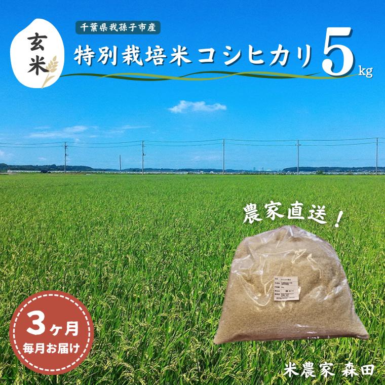 AT002-d 【毎月定期便3回】冷めても美味しい 農家直送 千葉県産 特別栽培米コシヒカリ 5kg×3回 計15kg（玄米）