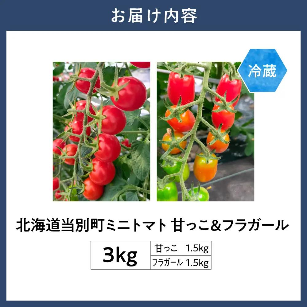 北海道当別町産化学農薬不使用ミニトマト 甘っこ1.5kg＋フラガール1.5kg | 北海道産 トマト 野菜 大容量 北海道 当別町