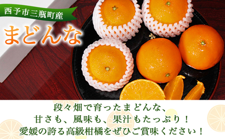 紅まどんなと同品種！＜とびっきりの愛媛 まどんな（3玉）＞ マドンナ 愛媛果試第28号 果物 柑橘 フルーツ 期間 旬 季節限定 特産品 産地直送 片山果樹園 西宇和 愛媛県 西予市【常温】『2024