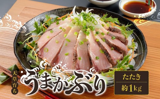 S137-006_【先行受付 天草育ち】活じめ！うまかぶりたたき2節　約1kg（切るだけ、手間いらず）