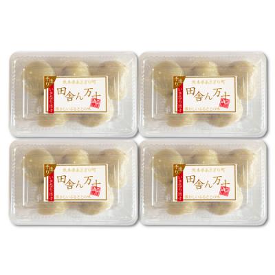 ふるさと納税 あさぎり町 熊本名物 いきなり団子 20個セット |  | 01