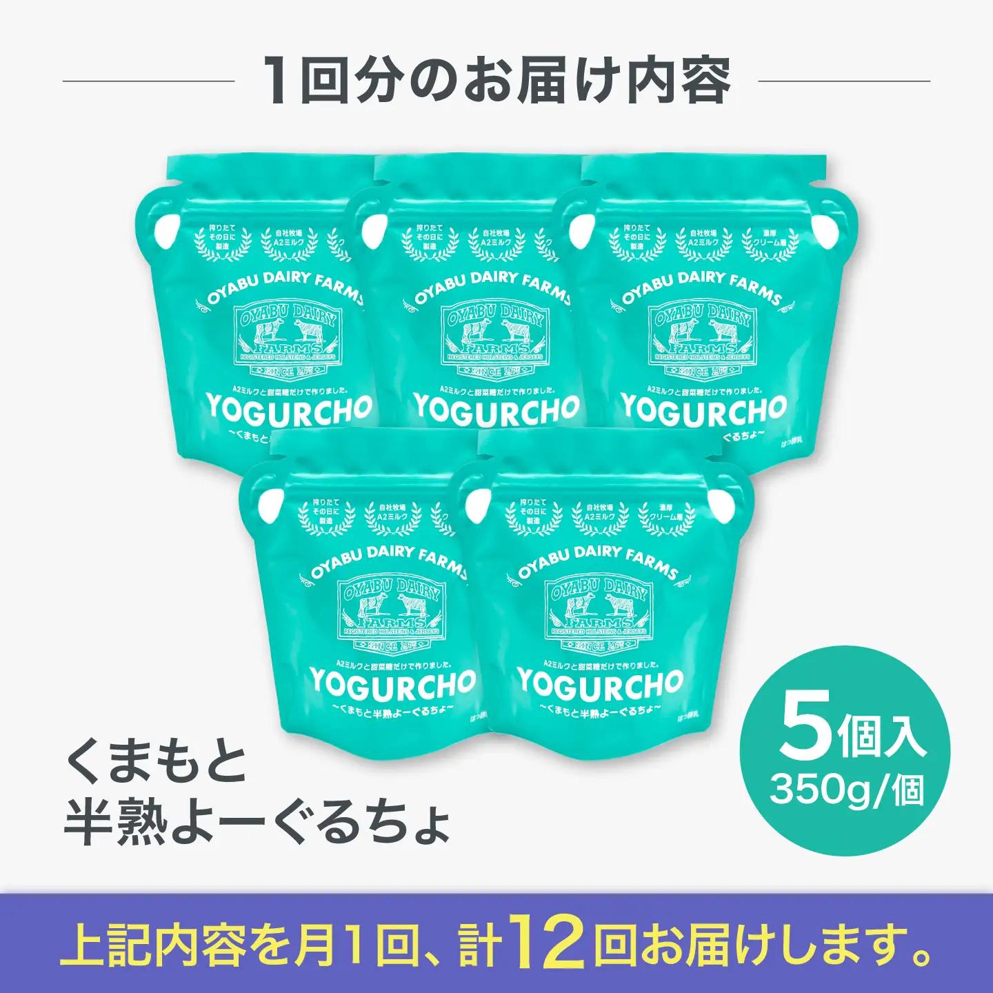 【全12回定期便】オオヤブデイリーファーム くまもと半熟よーぐるちょ 350g×5個ヨーグルト[AYAE024]