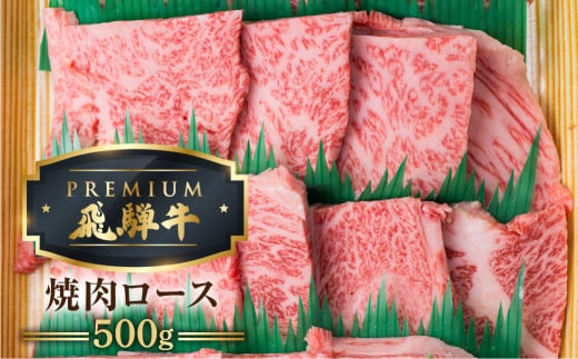 
最飛び牛 飛騨牛 ロース 焼肉 500g 5等級 A5 牛肉 和牛 ブランド牛 プレミアム ごちそう 贅沢飛騨牛 肉の沖村
