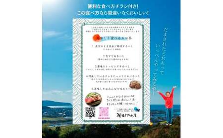 高知県産カツオのわら焼きタタキ 自家製タレ付 訳あり 1kg 3ヶ月定期便【かつおのたたき】