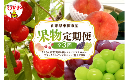 2027年産 全3回 定期便 【GI 東根さくらんぼ 紅秀峰、白桃(玉数・品種お任せ)、シャインマスカットとブラックシャインマスカット富士の輝 詰め合わせ】 山形県 東根市 FMS提供 hi074-019-r9 フルーツ くだもの 果物 定期便 コース さくらんぼ サクランボ もも 桃 白桃 ぶどう ブラックシャインマスカット 葡萄 特産 ふるさと納税