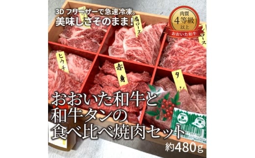 
【A01098】3Dフリーザーで急速冷凍。美味しさそのまま！おおいた和牛と和牛タンの食べ比べ焼肉セット　約480ｇ（秘伝のタレ３種類付き）
