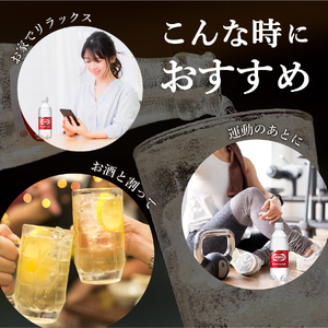 強炭酸水 【2ヶ月お届け！】ウィルキンソンタンサン PET1L×1箱(12本入) 定期便 炭酸
