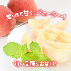 贈答用 飯山の桃 約2kg（5～7個） 香川県 丸亀市 三谷桃園