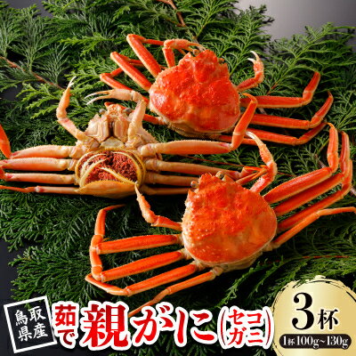 【ふるさと納税】【先行予約】鳥取県産 茹 親がに(セコガニ)100～130g×3杯 2026年11月発送【配送不可地域：離島・北海道・沖縄県・東北・信越、北陸】【1654349】
