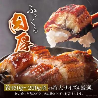 Y61-74 国産 うなぎ 蒲焼特大サイズ4尾（計800g以上） うなぎ