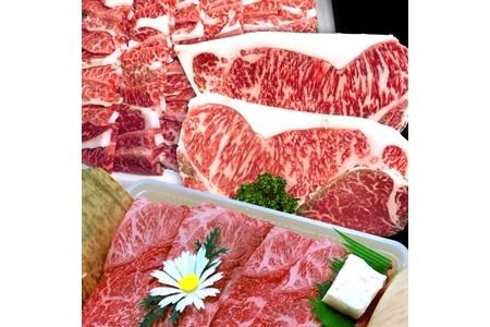 おおいた和牛味わい堪能セット 1.35kg　豊国畜産ぶんごや 牛肉 和牛 焼肉 焼き肉セット 赤身 ステーキ肉 大分県産 中津市