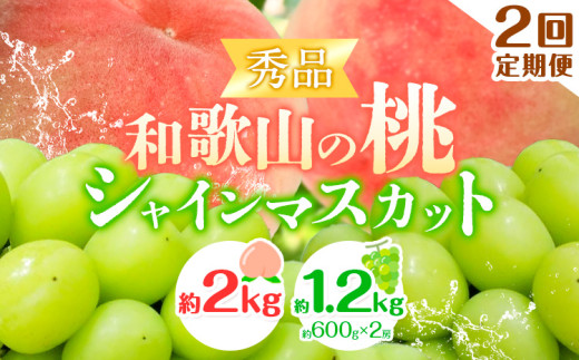 【2回定期便】【贈答用/熨斗非対応】秀品 和歌山の桃 約2kg (6玉~8玉) 大粒 シャインマスカット 約1.2kg (約600g×2房) m&n果実園 《2025年6月中旬-10月下旬頃出荷》和歌山県 紀の川市 送料無料 桃 旬 果物 フルーツ【配送不可地域あり】