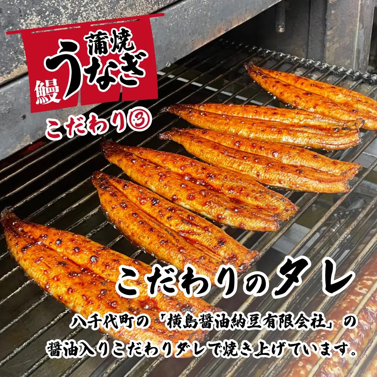 【訳アリ】うなぎ 国産 不揃い ふぞろい ウなぎ 蒲焼き 5尾 800g 