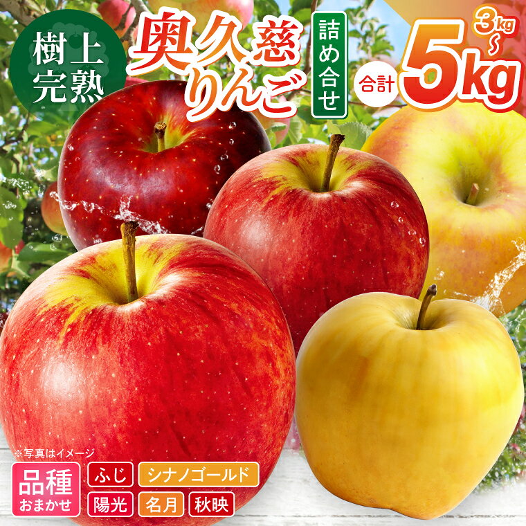 【ふるさと納税】【先行予約】樹上完熟の奥久慈りんご詰め合わせ　園主おまかせ約3kg（6～14玉）or 約5kg（12～23玉）【2026年9月下旬頃順次発送開始予定】斉藤りんご園第2直売所｜茨城県 大子町 林檎 果物 フルーツ 旬(CG001)