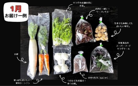 【12回定期便】＜毎月届く＞定期便 西粟倉産 「旬の野菜 おまかせセット」 F-FF-D00A