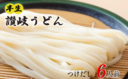 讃岐うどん 半生 6人前 つけだし付 うどん