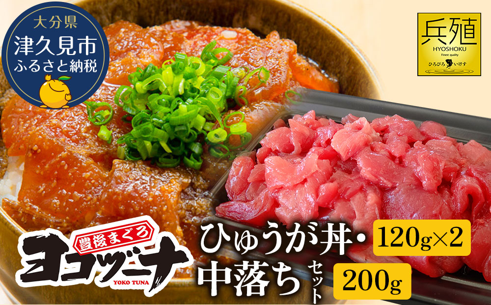 豊後まぐろ ヨコヅーナ 中落ち 200g・ひゅうが丼セット 120g×2   鮪 マグロ 海鮮丼 希少部位 刺し身 盛り合わせ 冷凍 新鮮 漬け丼 大分県産 九州産 津久見市 国産