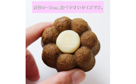 【ふるさと納税】＜おかしの家Repos(ルポ) さかわティグレ＞焼き菓子 個包装 フィナンシェ マドレーヌ リングケーキ 佐川茶 焙じ茶 ほうじ茶 ギフト プレゼント 化粧箱入 菓子職人手作り 保存料