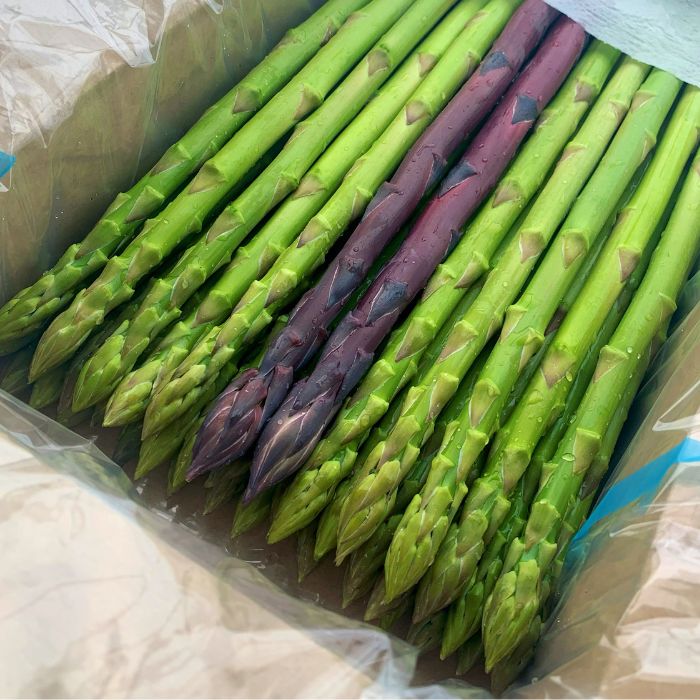 さぬきのめざめ　おおもりやアスパラガス「2Lサイズ」1kg【予約受付：御用意出来次第発送】【H-55】