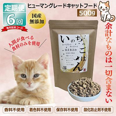 ふるさと納税 泉佐野市 【毎月定期便】国産 無添加 キャットフード「いのちのごはん」500g×全6回 099Z174