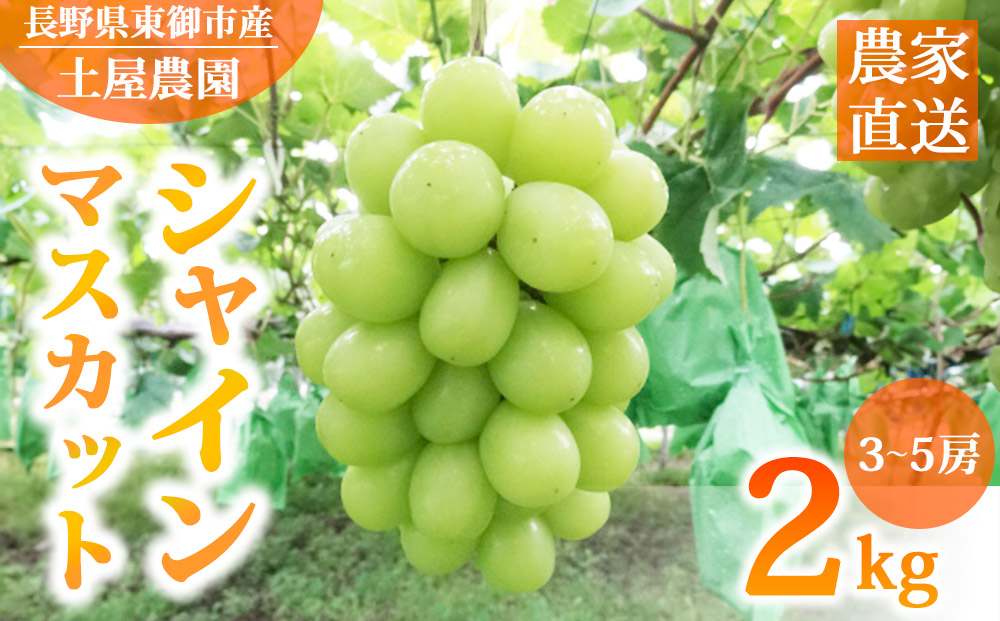 先行受付2025年発送【土屋農園】農家直送！シャインマスカット2Kg（3〜5房）※2025年9月下旬～10月中旬順次発送