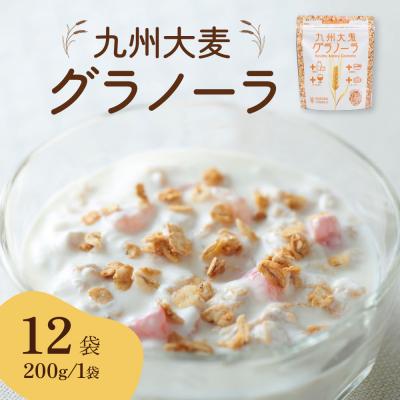 ふるさと納税 八代市 九州 大麦 グラノーラ 200g×12袋 国産_006-1843