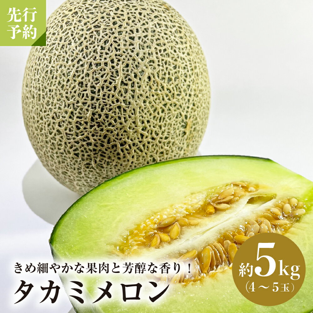 【ふるさと納税】【令和7年産】山形県産 タカミ メロン 5kg (4玉〜5玉) 果物 くだもの フルーツ 青肉 お取り寄せ 送料無料 山形県 河北町