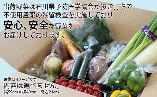 野菜定期便《JA小松市（隔月） 定期便６ヶ月》季節の野菜詰合せ 6回