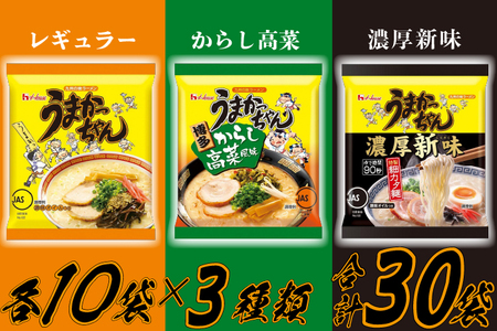 うまかっちゃんセット　30食（3種類✕各10食）[M244P1-5]　ラーメン 豚骨 インスタント 乾麺 即席麺 拉麺 保存食 九州 濃厚新味 高菜