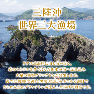 秋鮭 切り身 35切れ 鮭 さけ 海鮮 魚 魚介類 魚貝類 無塩鮭 冷凍 朝食 おかず ご飯 さかな おさかな 魚 焼き魚 FISH ごはん 夕飯 おかず おつまみ 晩酌 米 丼 海産物 海鮮 魚介 