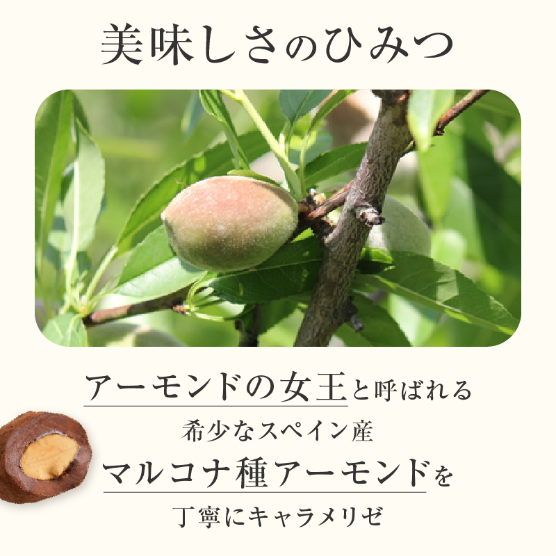 【パティスリーショコラトリーレシィ】アマンドショコラ【スイーツ 洋菓子 チョコレート ショコラ アーモンド 缶入り おしゃれ ギフト プレゼント 贈り物 贅沢 ご褒美】