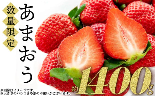 
福岡県産 あまおう 数量限定 合計約1400g 約280g×5パック 数量限定 1kg以上 ふるさと納税 いちご フルーツ 果物 旬 イチゴ 苺 福岡県産 送料無料 ふるさと ランキング 人気 おすすめ 2Z1
