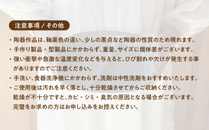 【美濃焼】 ランチプレート 2つ仕切り 四角 21cm 1枚 窯変紺ネイビー 瑞浪市 / 窯元ロングアイランド おしゃれ 食器 シンプル レンジ対応 食洗機対応 [AZCU022]
