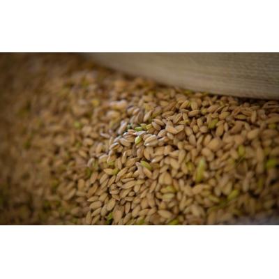 ふるさと納税 うきは市 みずほファーム オリジナルヒノヒカリ「瑞穂の一」白米3kg |  | 02