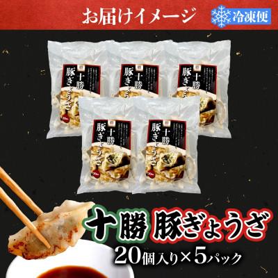 ふるさと納税 大樹町 十勝 豚ぎょうざ 20個入り 5パック 十勝豚使用 北海道 大樹町 |  | 03