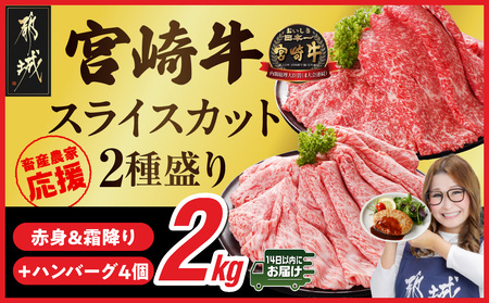 畜産農家応援! 宮崎牛スライス2種セット500g×4パック+豚肉ハンバーグ100g×4個≪みやこんじょ快速便≫_32-N201-R-ESH_(都城市) 赤身 霜降り 宮崎県産 宮崎牛 肩ロース ウデ又はモモ 牛肉 すき焼き キャンペーン