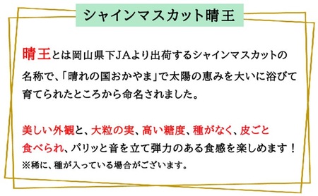 シャインマスカット 晴王 ご家庭用 岡山県産 シャインマスカット【約400g×2房】【先行予約】