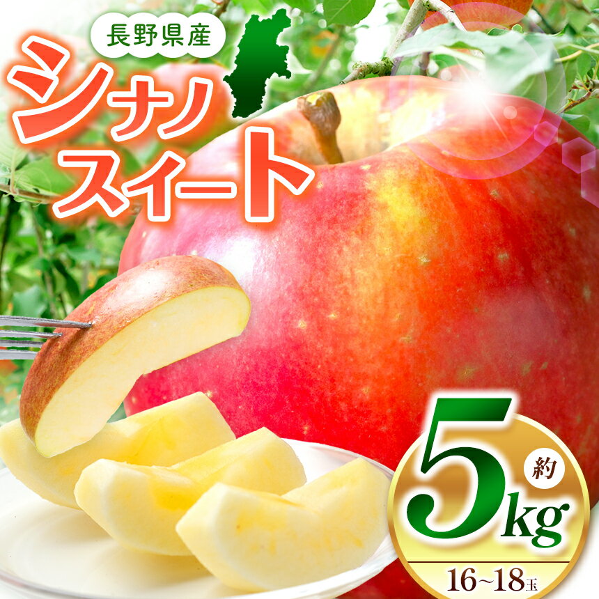 【ふるさと納税】【先行受付：9月～発送】長野県生まれの品種　シナノスイート 5kg(16～18玉)｜ふるさと納税 松本市 りんご 林檎 果物 フルーツ 詰め合わせ シナノスイート 美味しい 人気