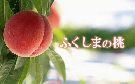 【ふるさと納税】No.2359もも　あかつき2kg【2025年発送】