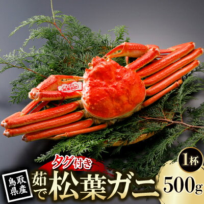 【ふるさと納税】【先行予約】鳥取県産 タグ付き 茹 松葉がに 500g×1杯(中村商店)2026年11月発送【配送不可地域：離島・北海道・沖縄県・東北・信越、北陸】【1654019】