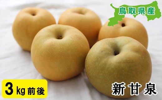 プレミアム新甘泉　3kg前後