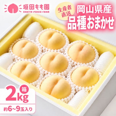 【2027年7月下旬より順次発送予定】岡山の桃　品種おまかせ　2kg箱(約6～9玉入り)【配送不可地域：離島・北海道・沖縄県】